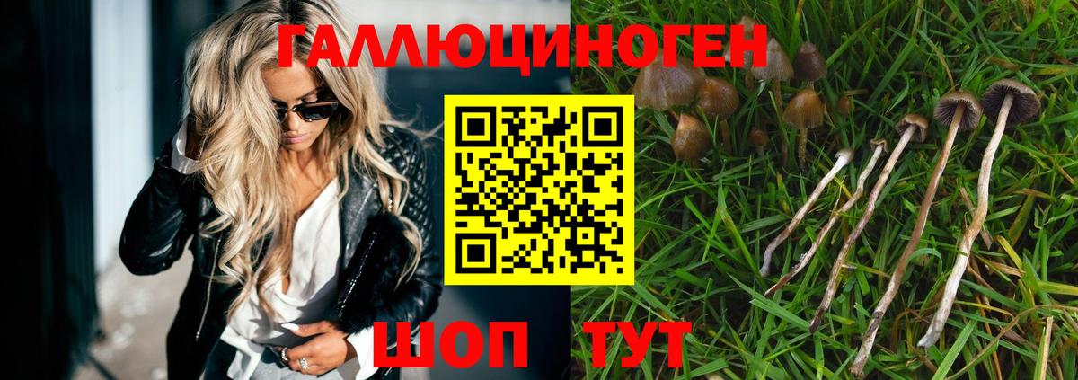 Псилоцибиновые грибы Magic Shrooms  Вход с VPN  Красноярск 